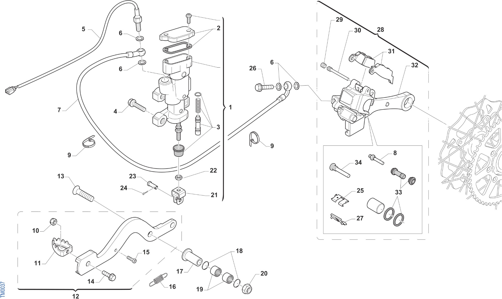 Rear Brake