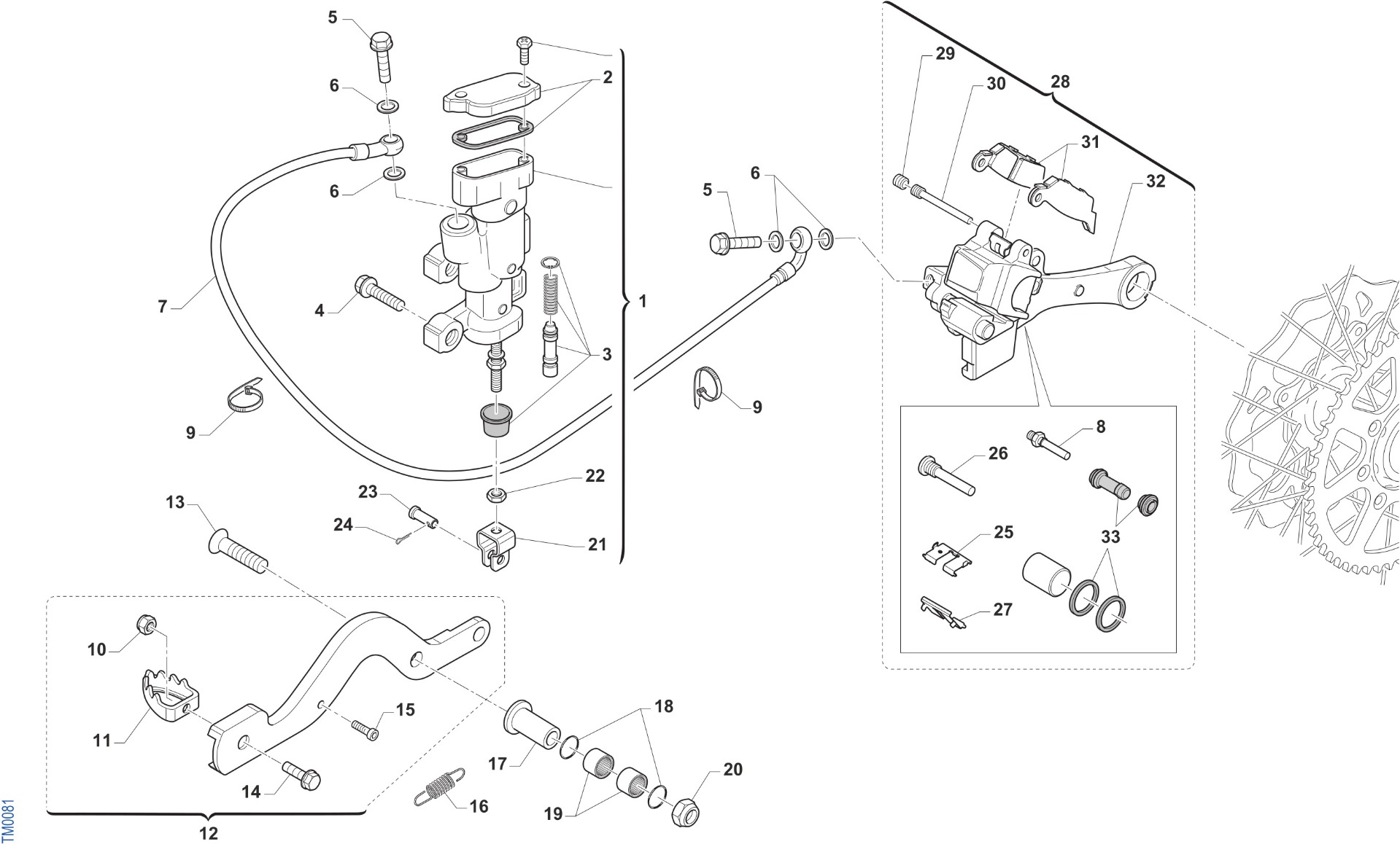 Rear Brake