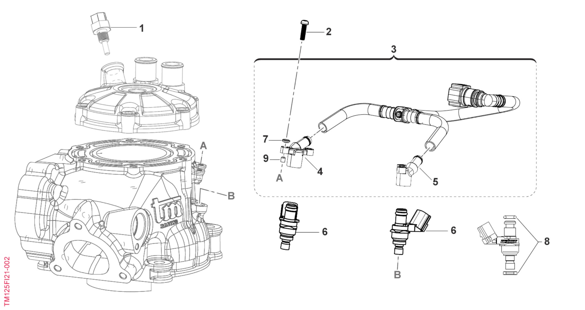 Injection System
