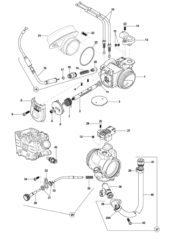 Throttle Body Sensors