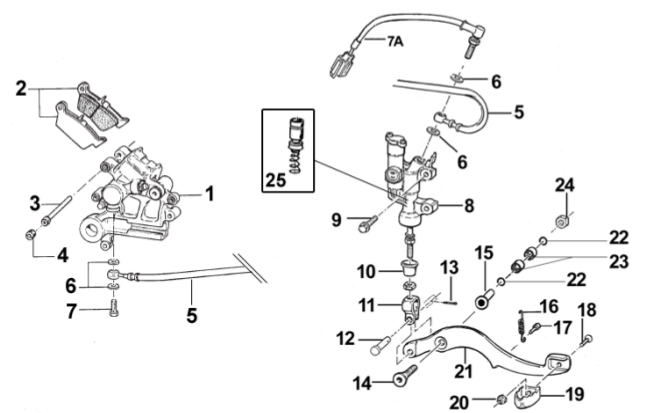 Rear Brake
